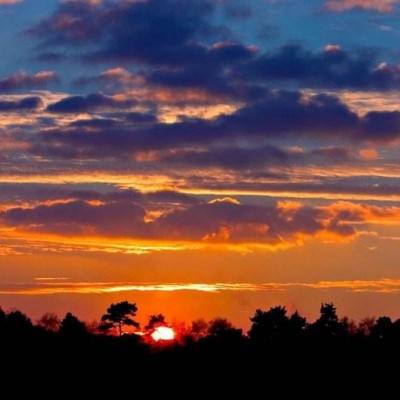 户员可以补办户口吗